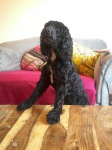 886910_10151322309571657_1406499682_o